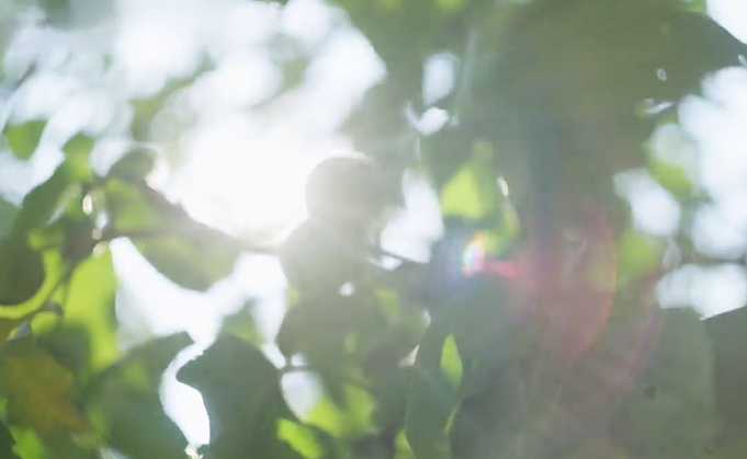 86358贾家庄短片周《峪道古今》